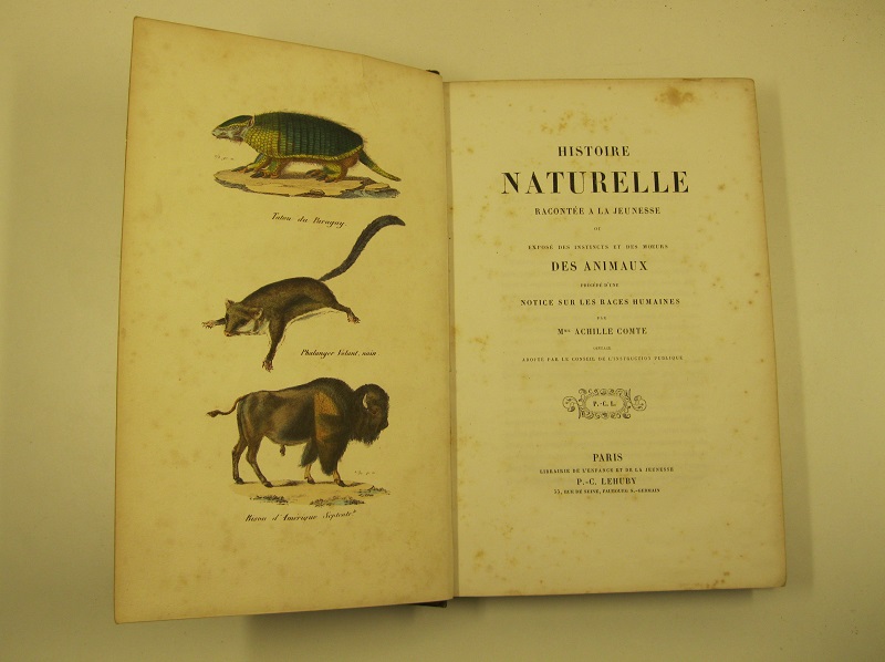 Histoire naturelle racontée à la jeunesse ou exposé des instincts et des moeurs des animaux précéde d'une d'une notice sur les races humanùines par M. me Achille Comte ouvrage adopté par le conseil de l'instruction publique