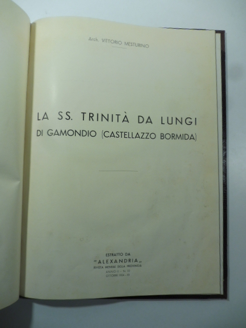 La SS. Trinità da Lungi di Gamondio (Castellazzo Bormida)