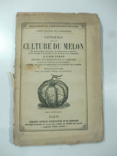 Conseils sur la culture du melon, du concombre vert long, du concombre cornichon de la courge a la moelle et du potiron vert d'Espagne