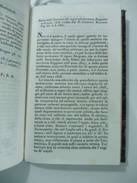 Storia dell'ipertosse che regnò nel territorio Reggiano nell'anno 1828 scritta da G. Bergonzi. P. 88, in 8, 1830. (Stralcio da: Nuovo giornale de letterati. N. 57. 1831)