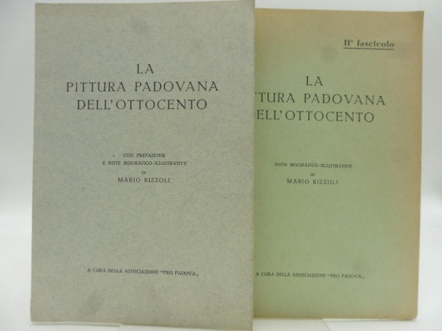 La pittura padovana dell'Ottocento